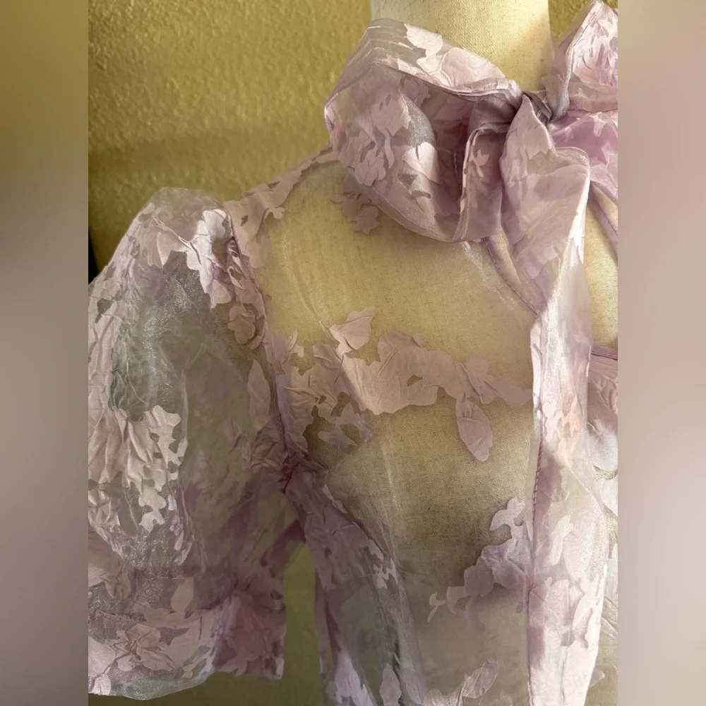 Gorgeous lilac organza sheer top